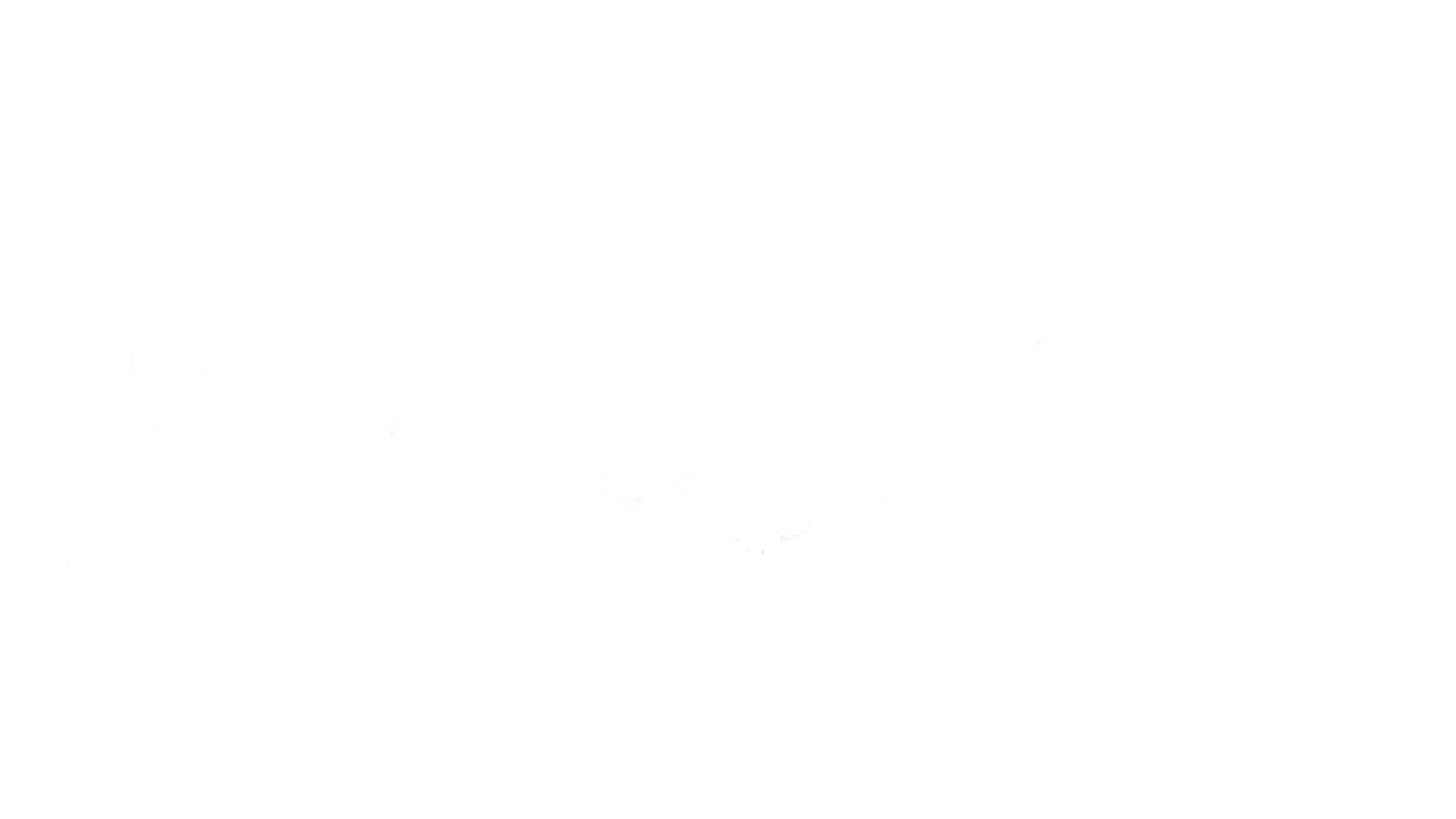 بدون دم