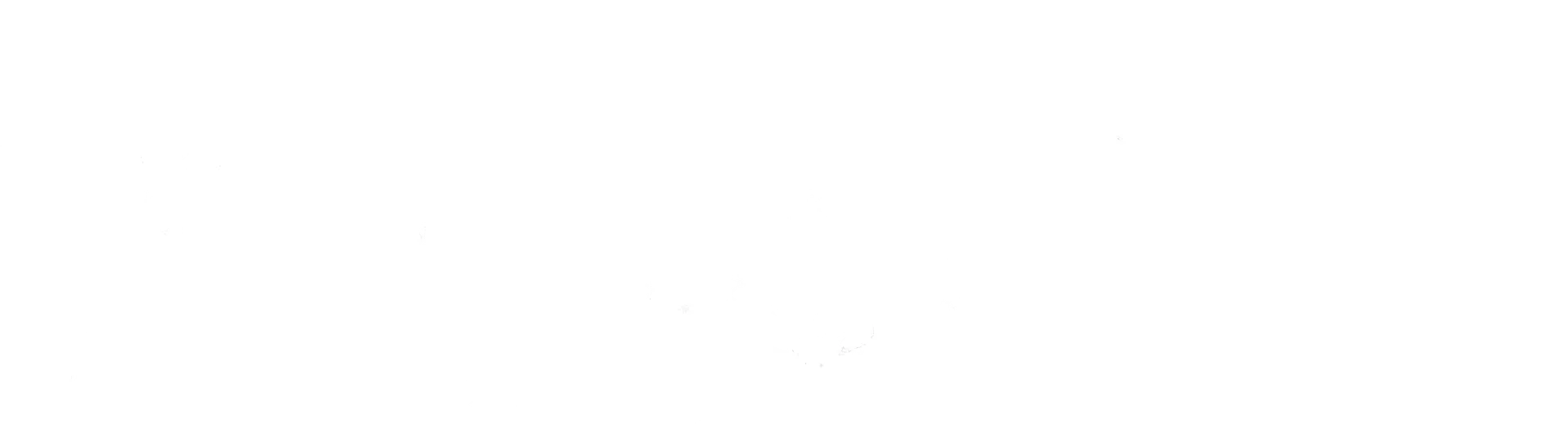 بدون دم