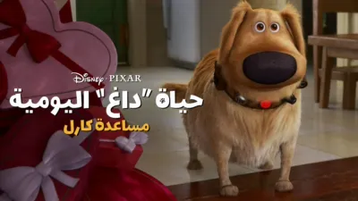 thumbnail - لقاء فريد زين