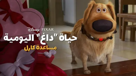 thumbnail - لقاء فريد زين
