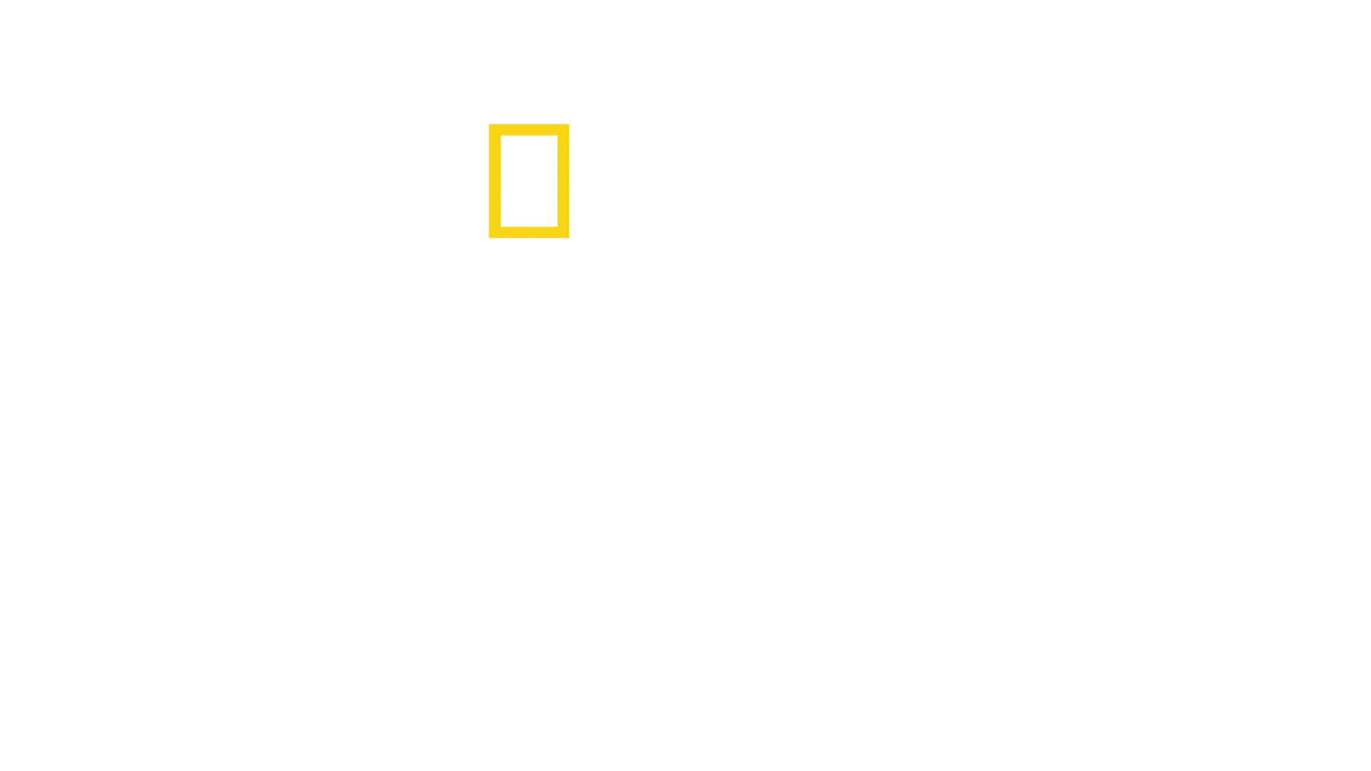 כריס המסוורת': מסע בלתי נשכח