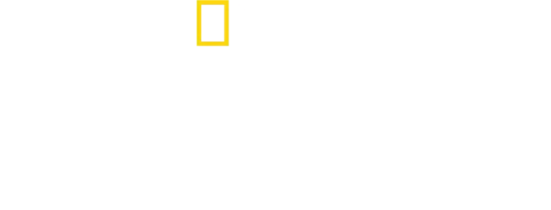 כריס המסוורת': מסע בלתי נשכח