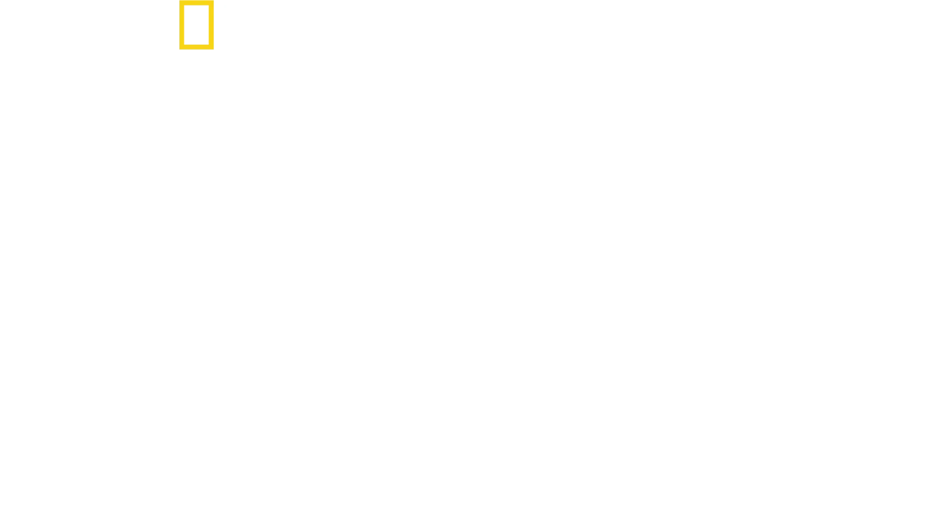 تقرّبوا من الفهود مع بيرتي غريغوري