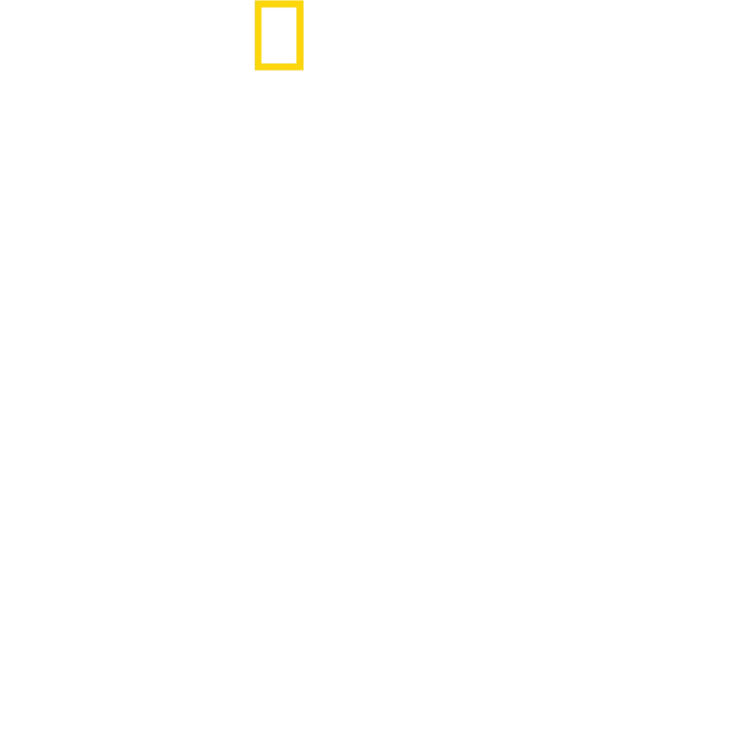 تقرّبوا من الفهود مع بيرتي غريغوري