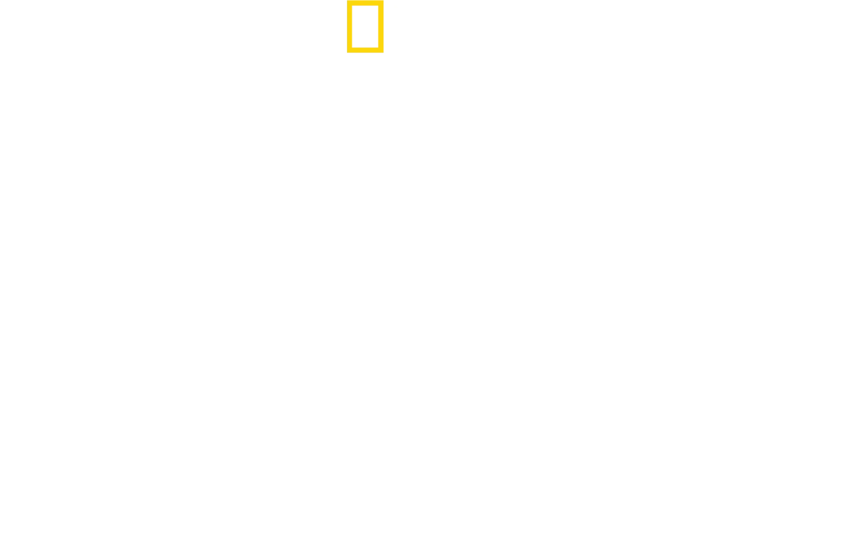 צ'יטות בקלוז-אפ עם ברטי גרגורי