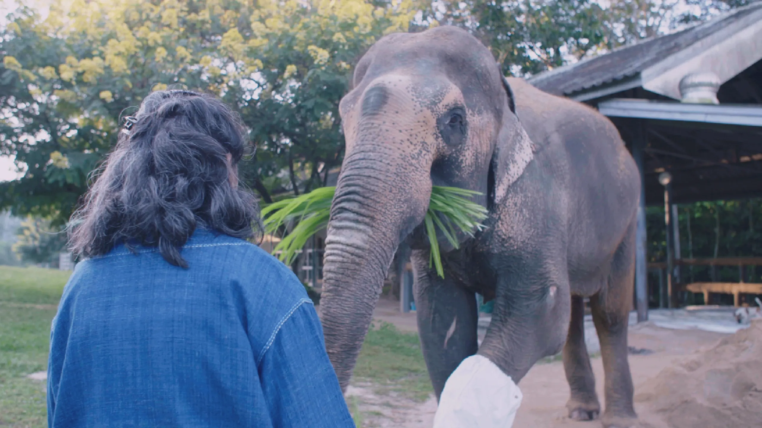 thumbnail - S3:E1 Big Love