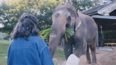 thumbnail - S3:E1 Big Love