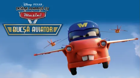 thumbnail - Bucșă aviator