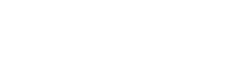 מבריחים בשדה התעופה