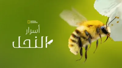 thumbnail - أسرار النحل