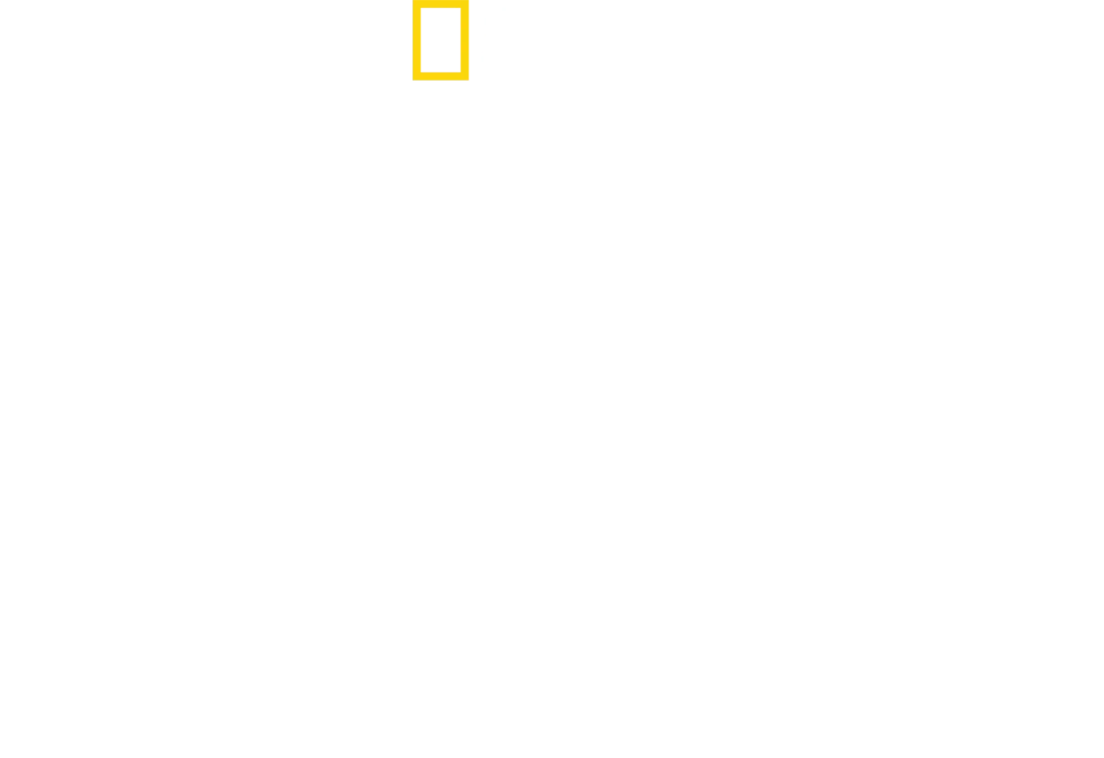 أسرار النحل