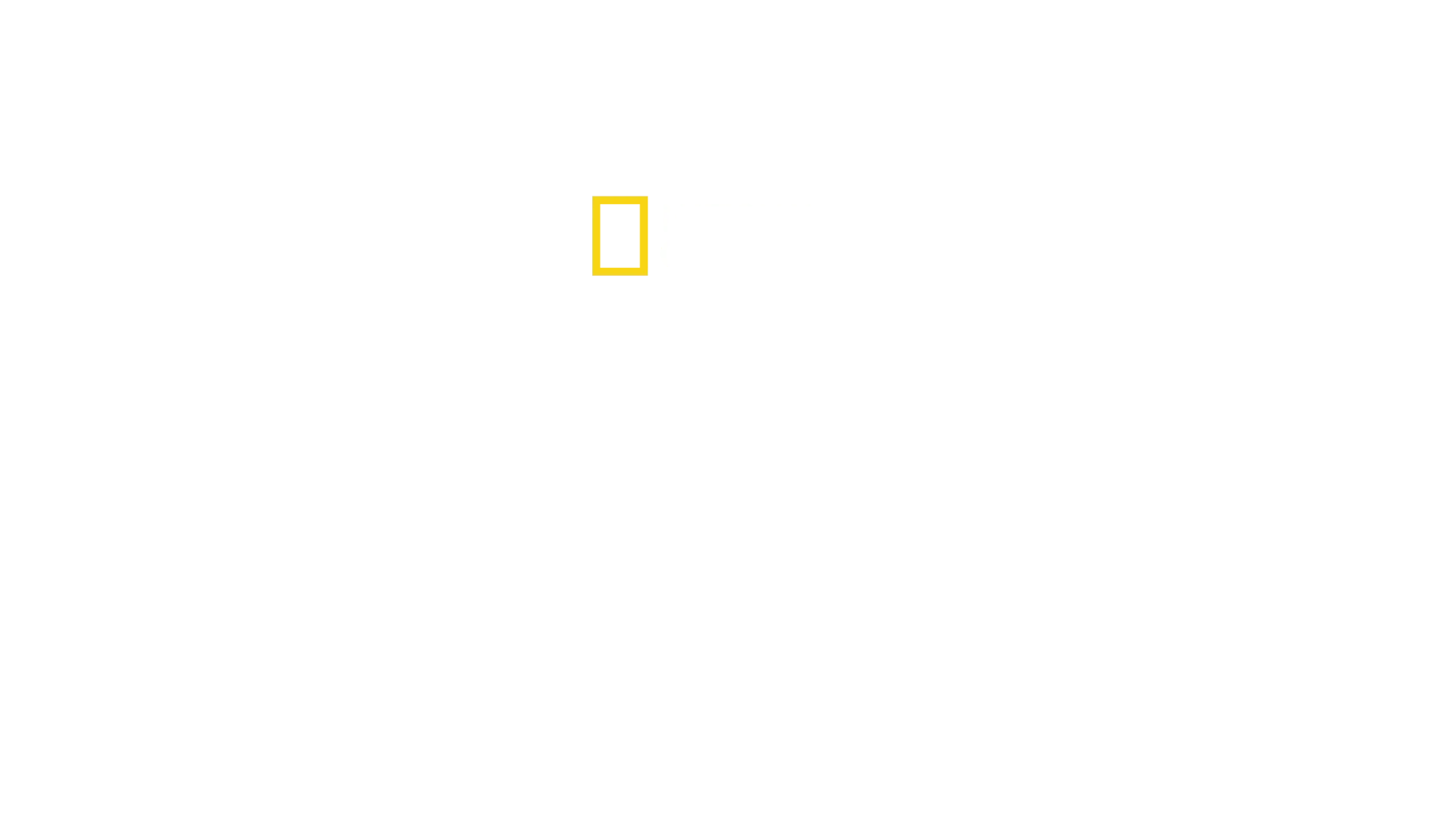 Deep Dive North America