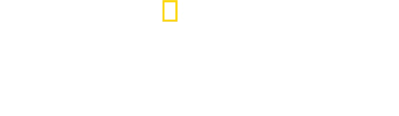 Deep Dive North America
