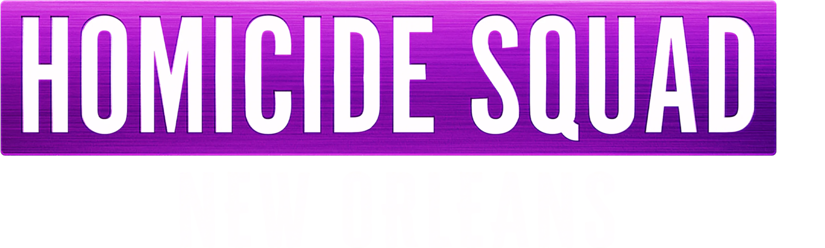 Homicide Squad New Orleans