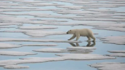 thumbnail - S1:E6 Polar