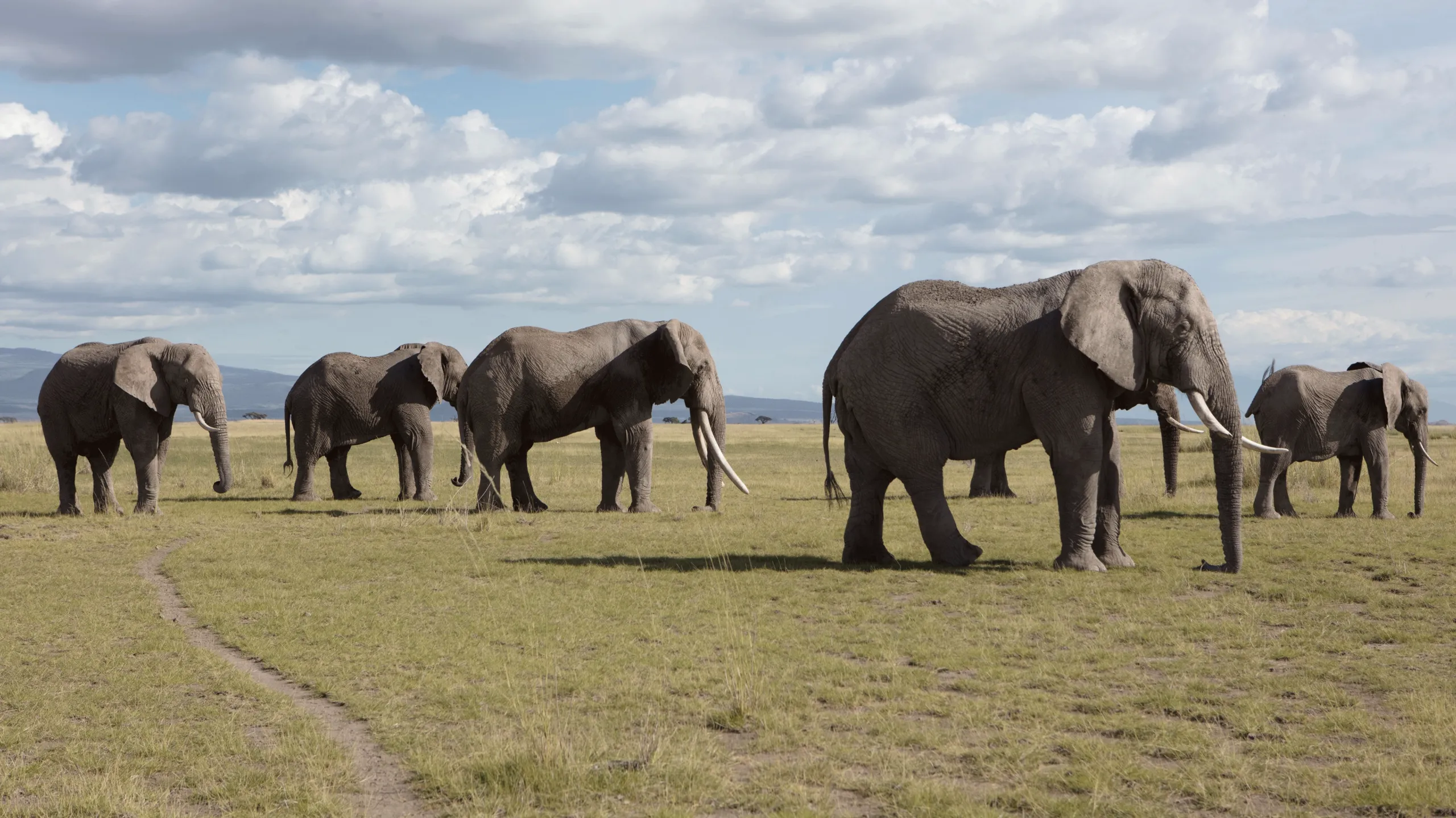 thumbnail - S1:E3 Grasslands