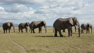 thumbnail - S1:E3 Grasslands