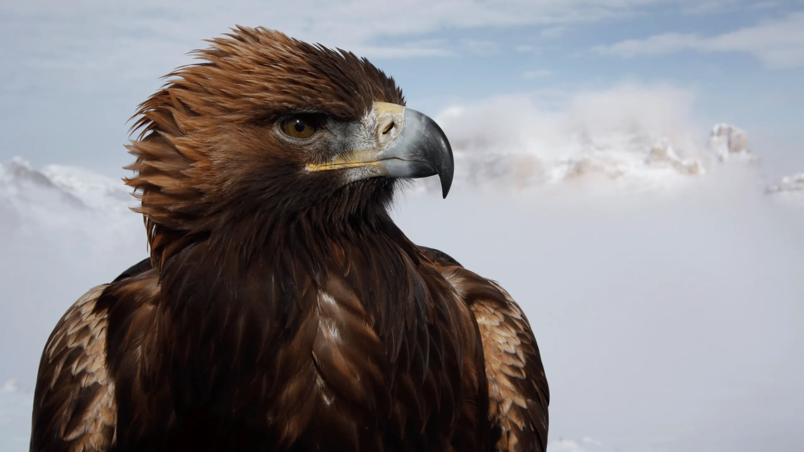 thumbnail - S1:E1 Mountains