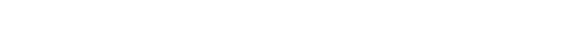 Lentoturmatutkinta