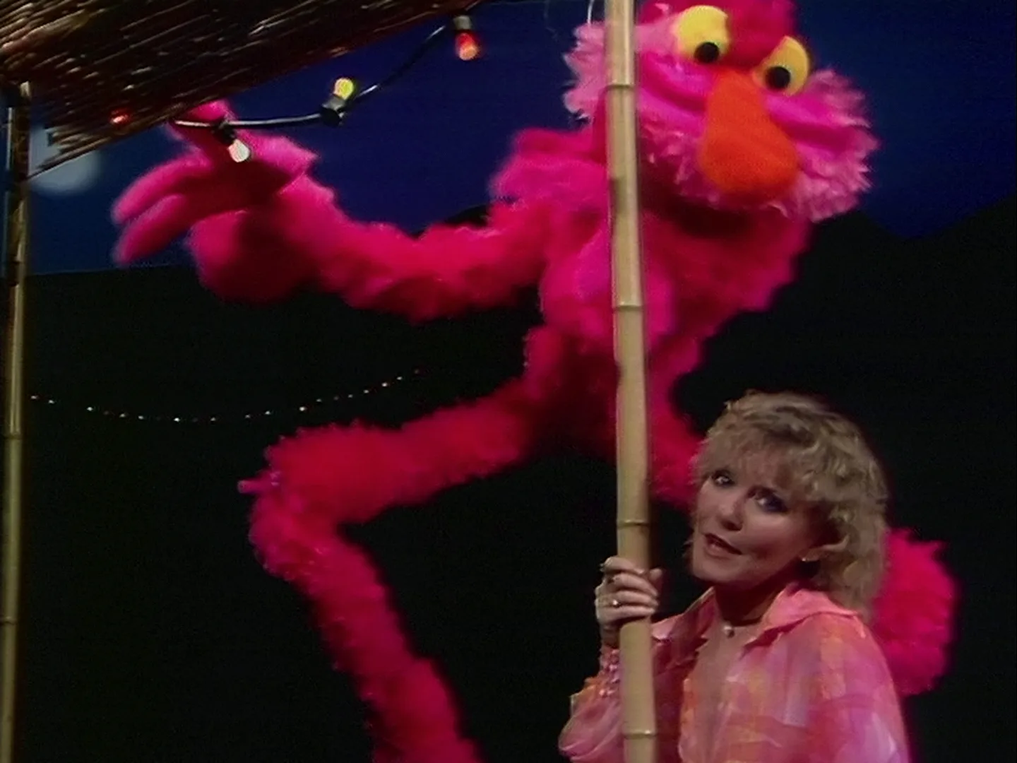 thumbnail - S2: Afl. 20 Gast: Petula Clark