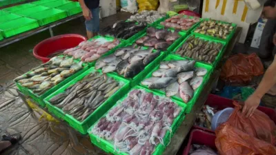 thumbnail - S35:E4 The Day Keeps Rockin' Here in Vietnam