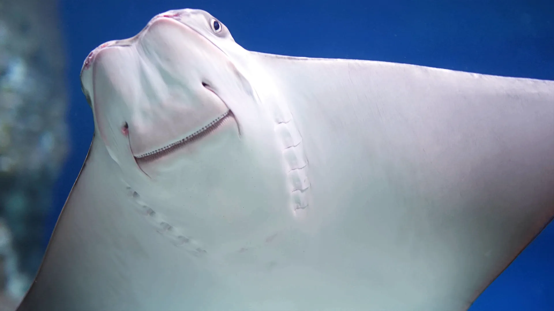 thumbnail - S3:E6 Watery Wonders
