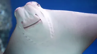 thumbnail - S3:E6 Watery Wonders