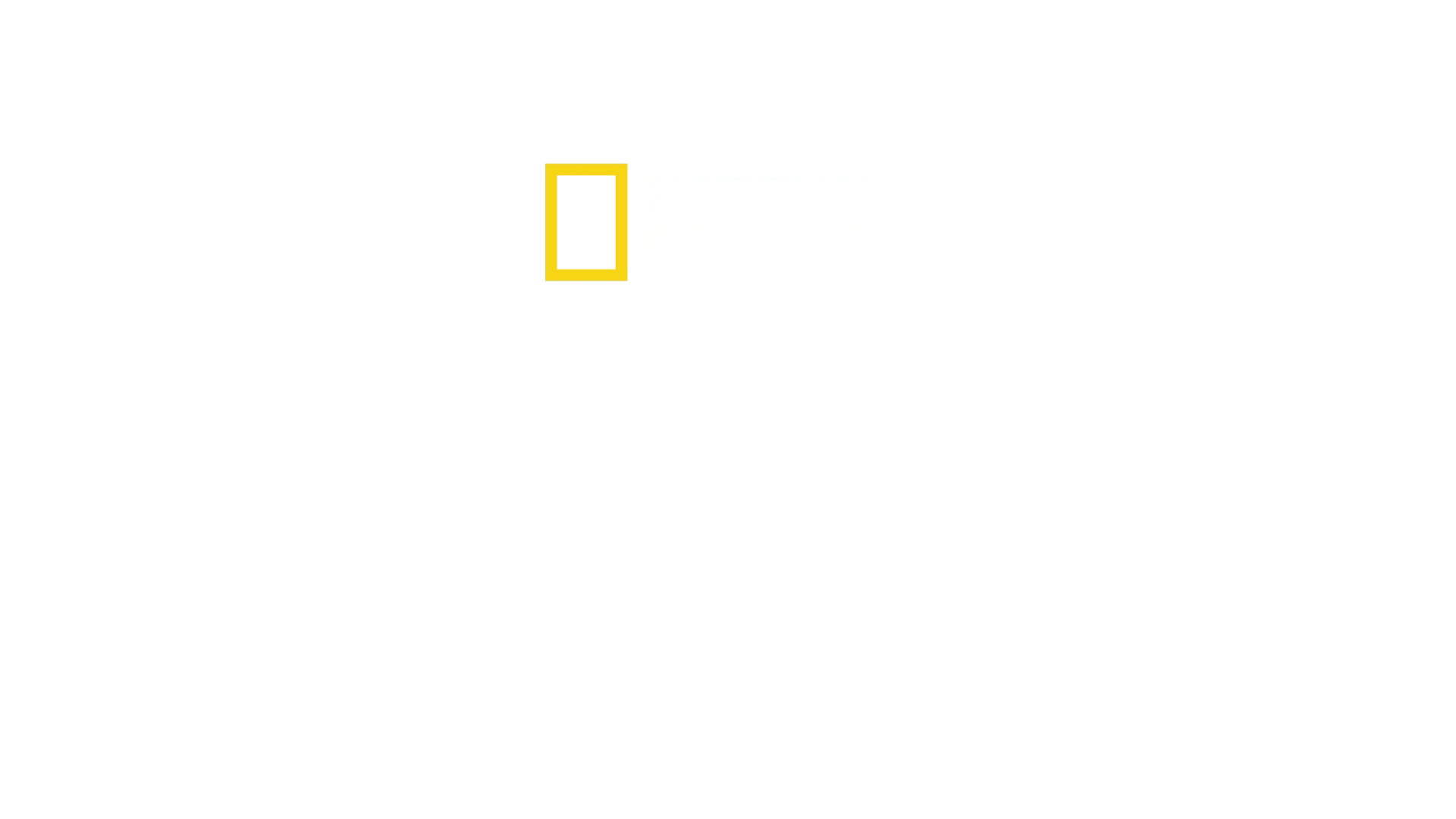 ضائعون في الغابة