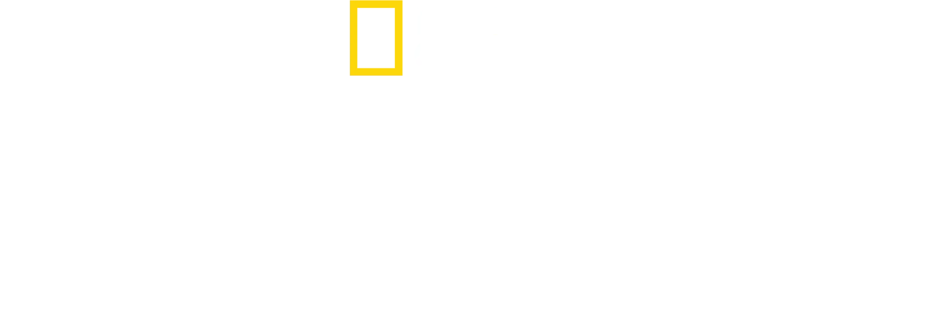 ضائعون في الغابة