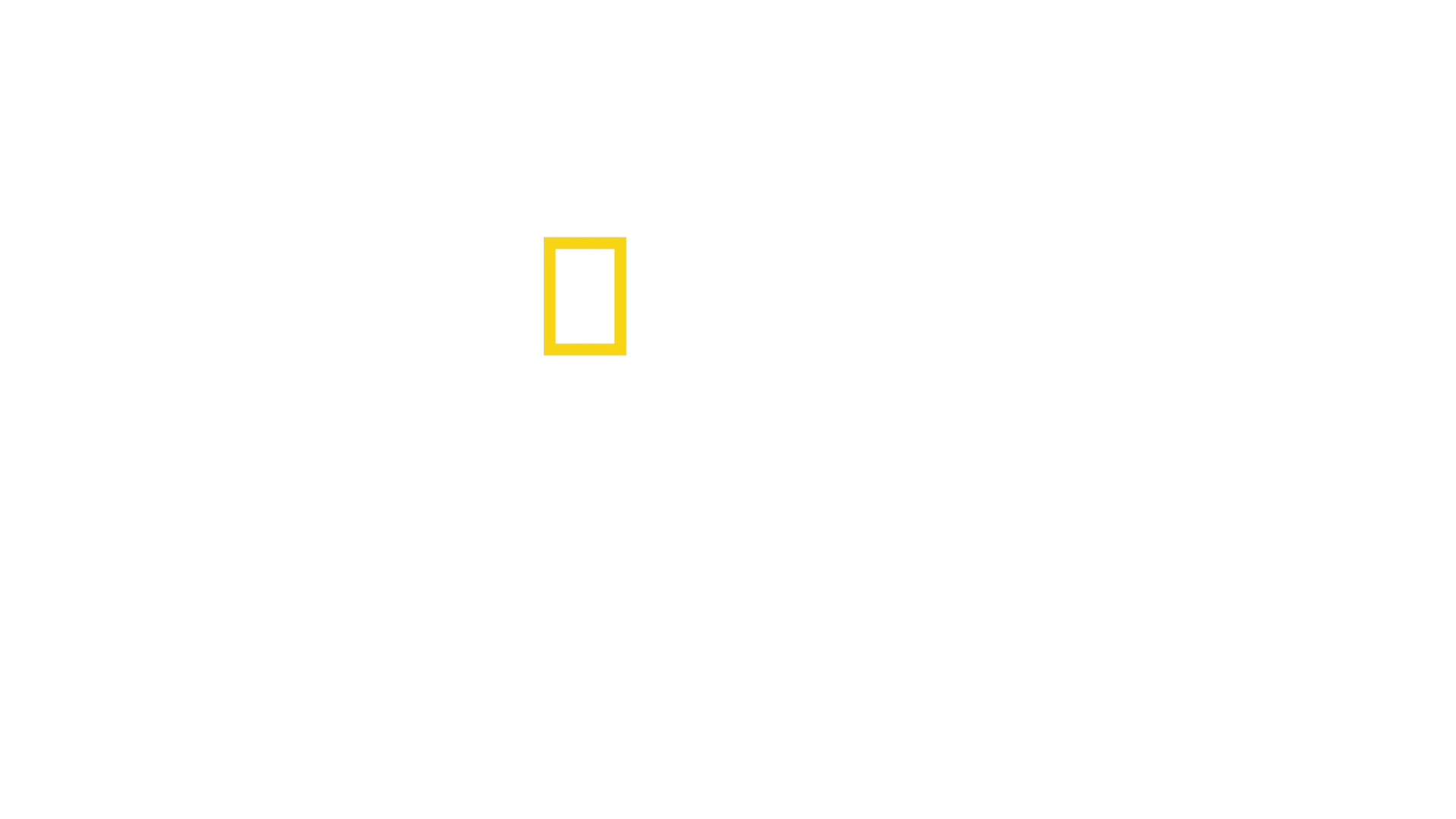 אבודים בג'ונגל