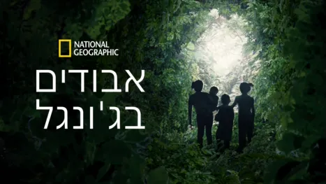 thumbnail - אבודים בג'ונגל