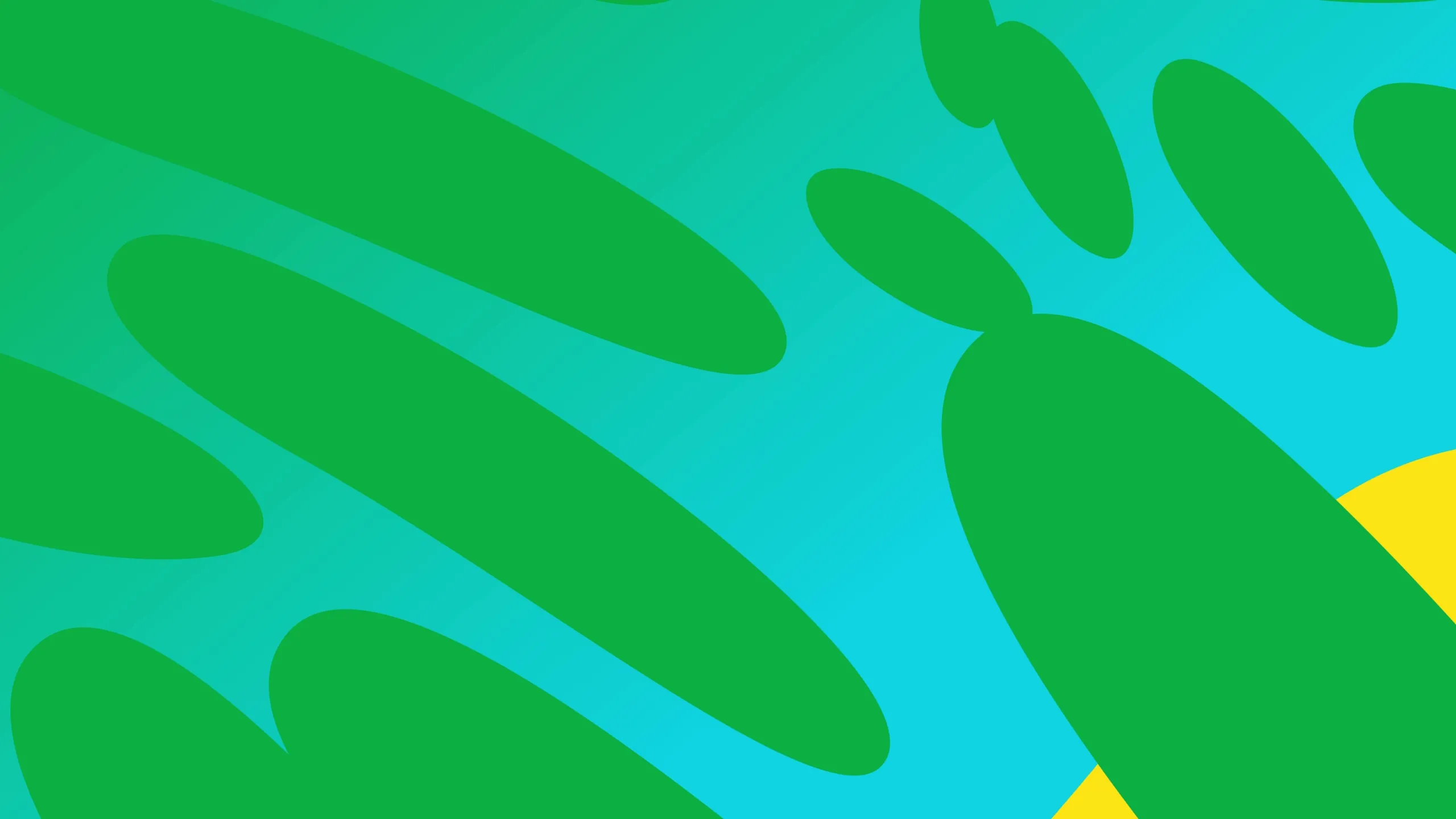 Whats App Liberado Rádio Disney