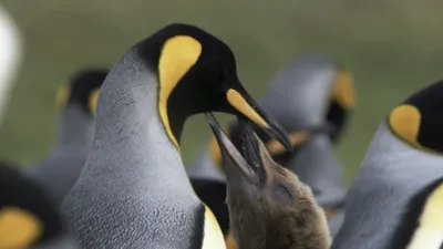 thumbnail - S1:E1 Ends of the Earth