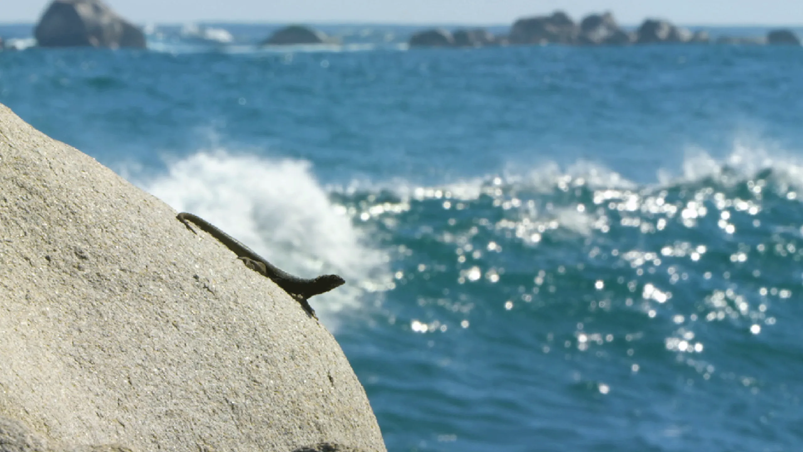 thumbnail - S1:E3 Life Without Water