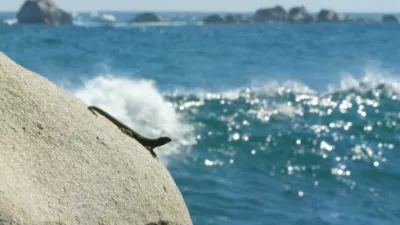 thumbnail - S1:E3 Life Without Water