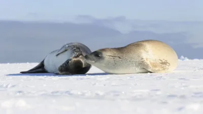 thumbnail - S1:E5 Science Of Survival