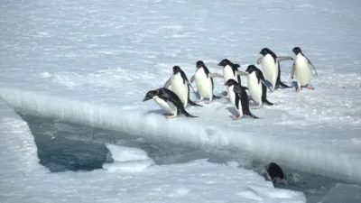 thumbnail - S1:E6 Race To Escape