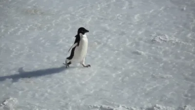 thumbnail - S1:E4 Take Your Best Shot