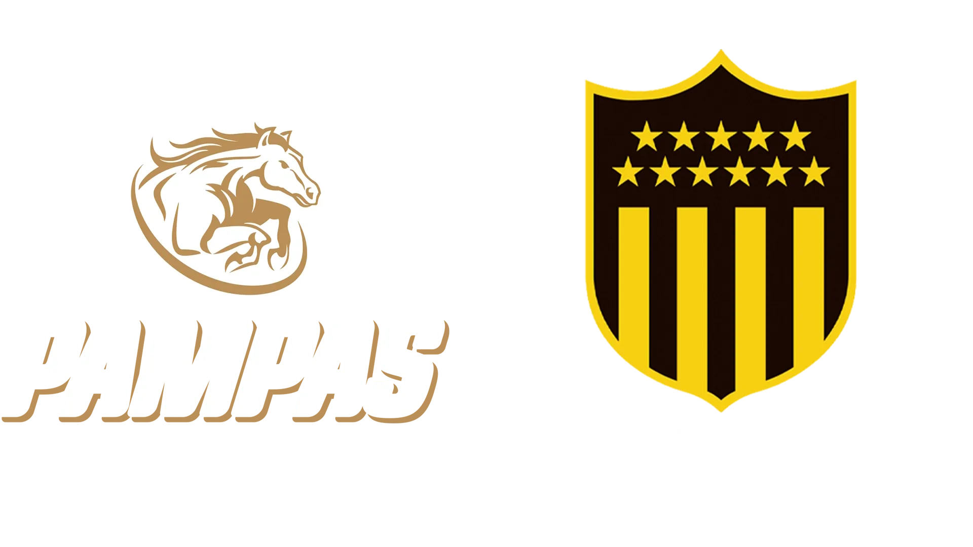 Pampas XV vs. Peñarol Rugby