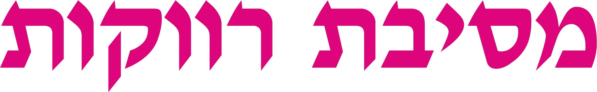 מסיבת רווקות