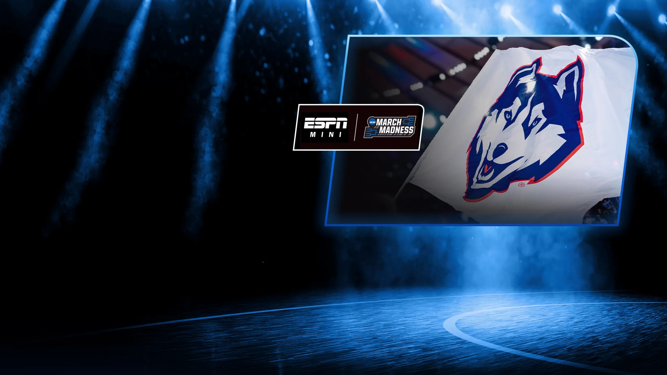 Women's March Madness Mini: Notre Dame vs UCONN (Elite 8)