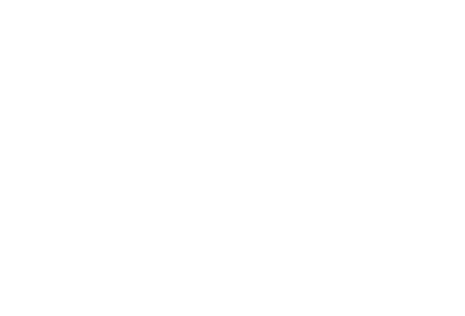 צוואתה של אן לי