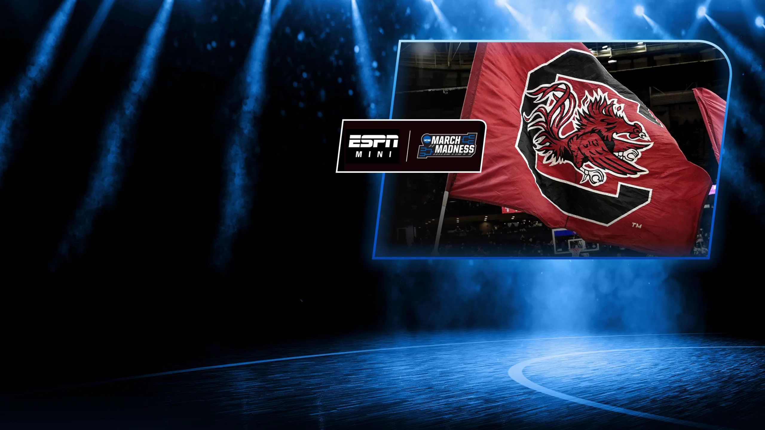 Women's March Madness Mini: South Carolina vs UCONN (Final Four)