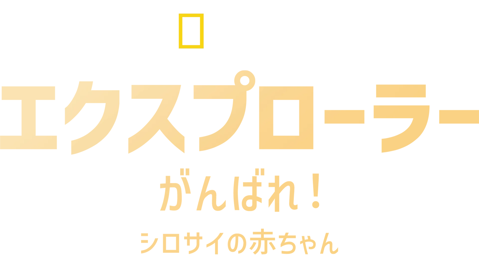 エクスプローラー：がんばれ！シロサイの赤ちゃん