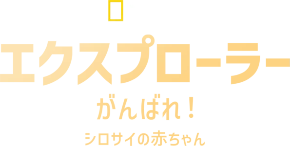 エクスプローラー：がんばれ！シロサイの赤ちゃん