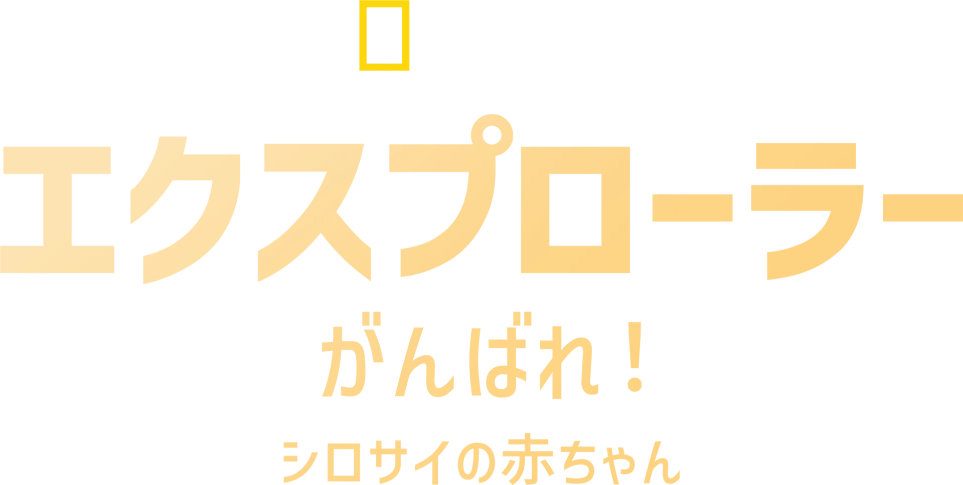 エクスプローラー：がんばれ！シロサイの赤ちゃん