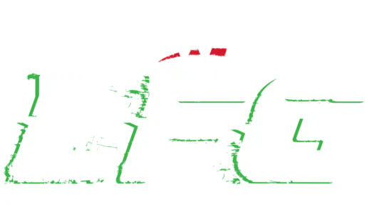 WWE LFG