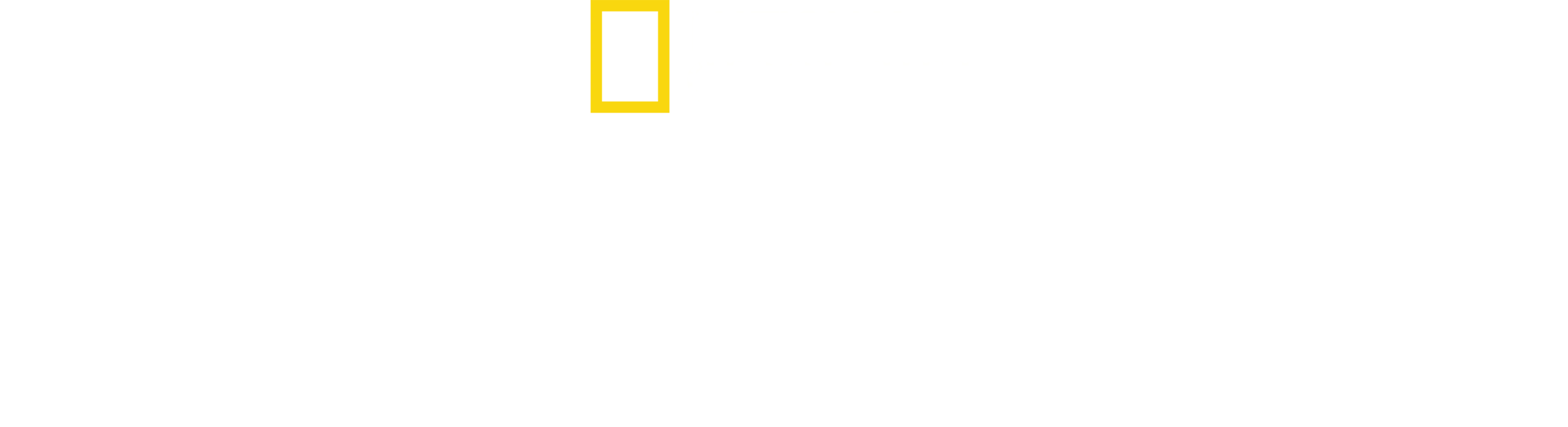 סוחרים לא חוקיים - עם מריאנה ואן זלר