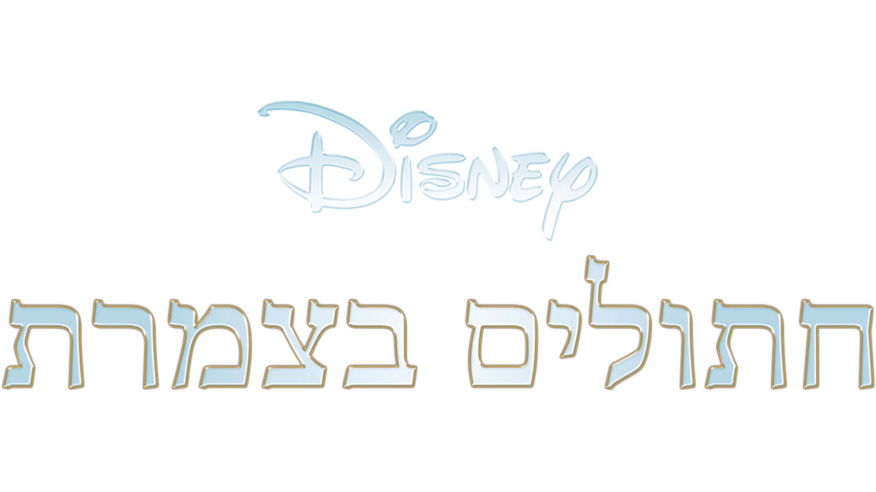 חתולים בצמרת