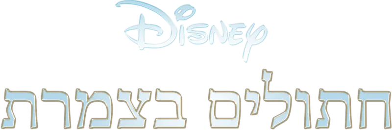 חתולים בצמרת